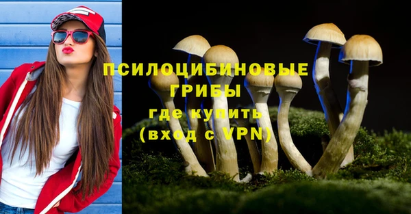 стаф Кинешма