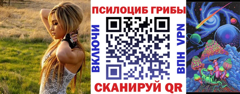 Галлюциногенные грибы Cubensis  купить наркоту  Ковдор 